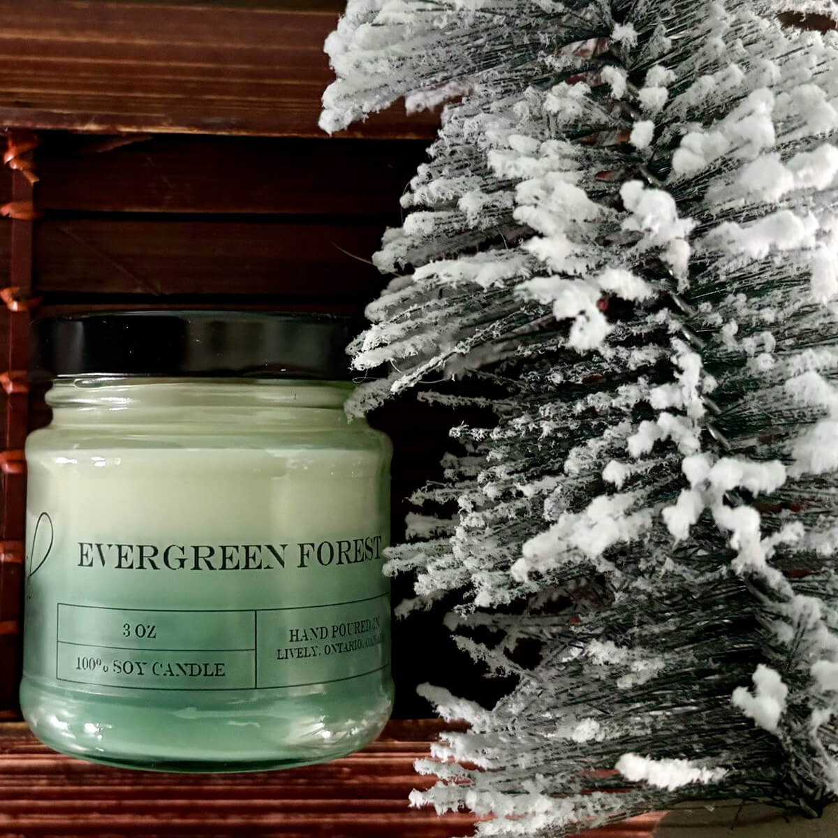 Evergreen Forest oz Candle