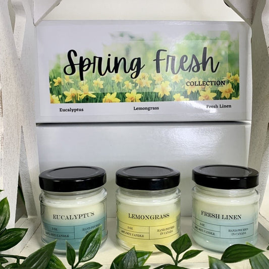 Spring Fresh Sample Box Set